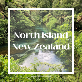 2 Week – New Zealand Travel Itinerary Review