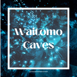 The Black Abyss Review – Waitomo Caves, New Zealand