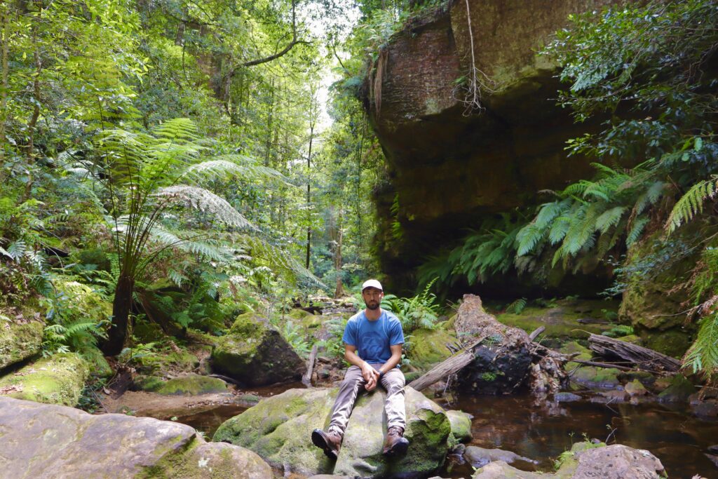 Grand Canyon Blue Mountains