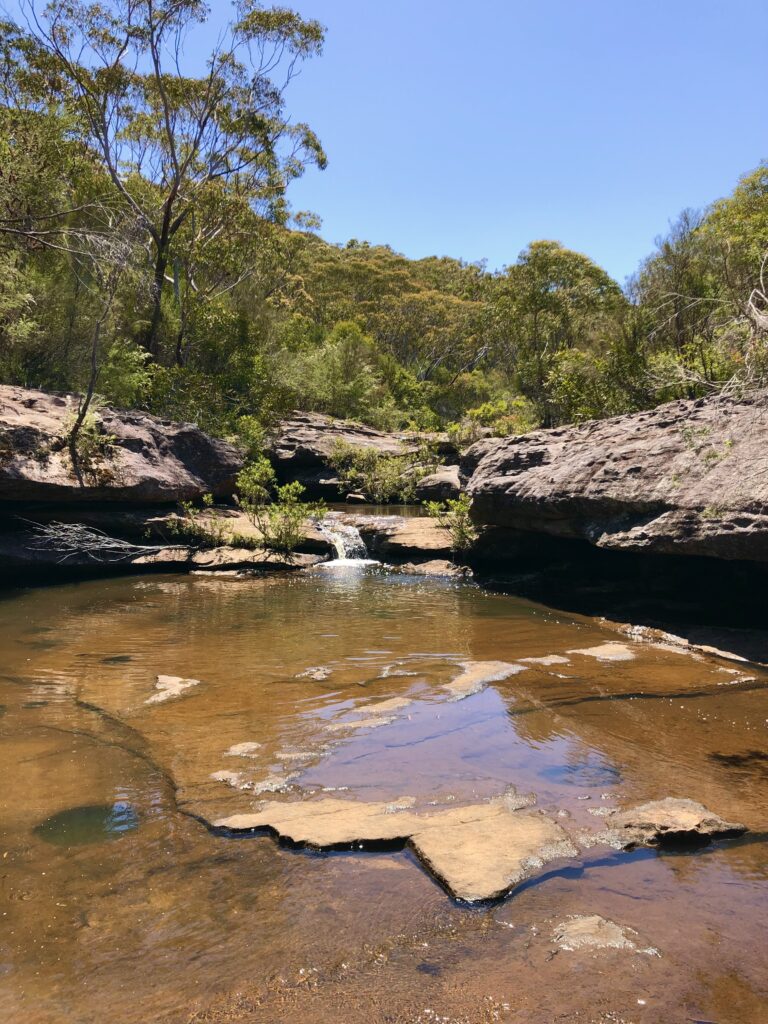 Kingfisher Pools