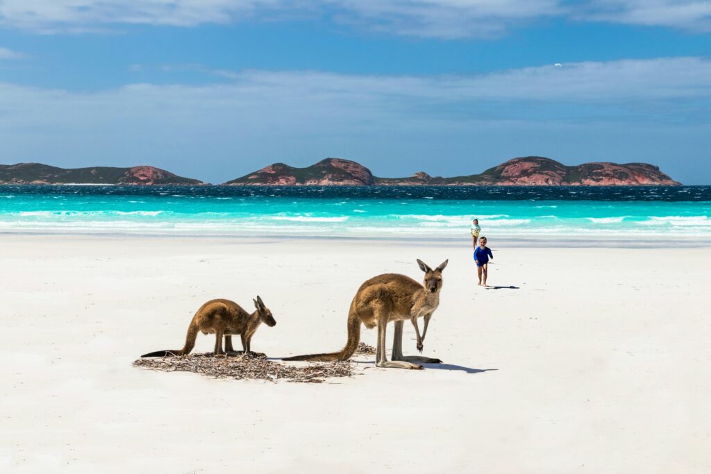 Lucky Bay Beach